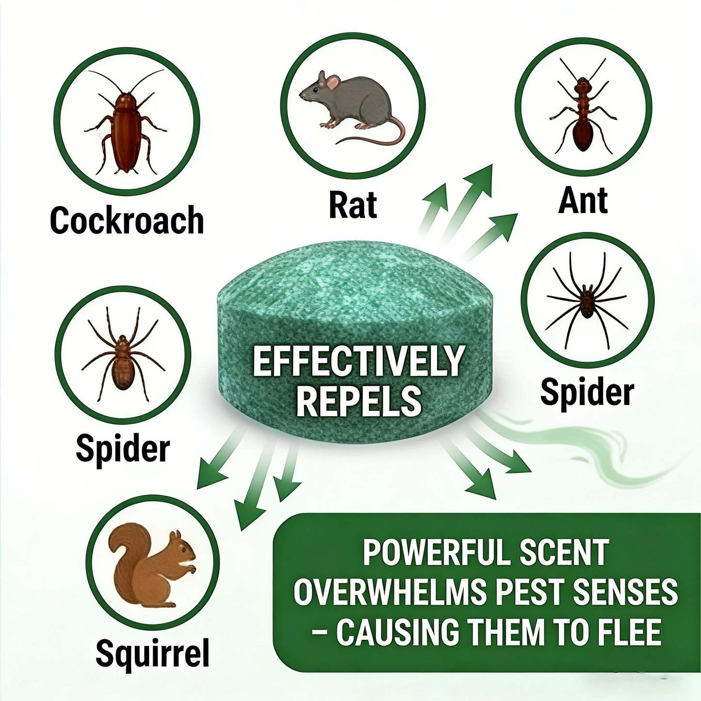 Calverv™ 💥LAST DAY SALE 50%OFF💥🟢 Natural Peppermint Rodent Repellent Tablets – 10 Pack